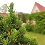 Pod Leszczyna Na Kaszubach * Stężyca