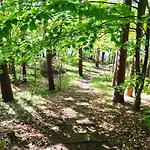 Pod Leszczyna Na Kaszubach *