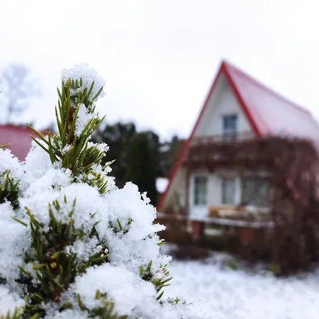 Pod Leszczyna Na Kaszubach Semesterbostad *