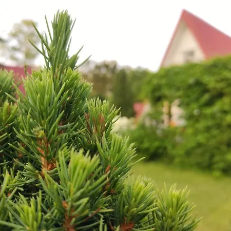 Pod Leszczyna Na Kaszubach * Stężyca