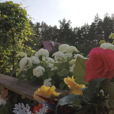Pod Leszczyna Na Kaszubach * Stezyca (Kartuzy)