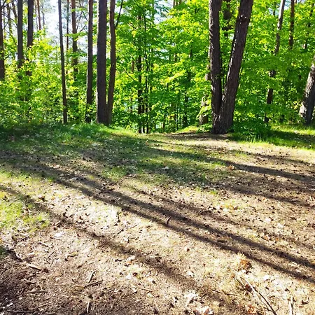 Pod Leszczyna Na Kaszubach Stezyca (Kartuzy)