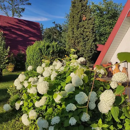 Pod Leszczyna Na Kaszubach 펜션 Stężyca