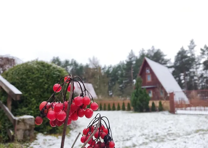 Pod Leszczyna Na Kaszubach 度假居 *