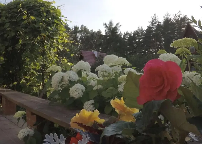 Pod Leszczyna Na Kaszubach * Stężyca