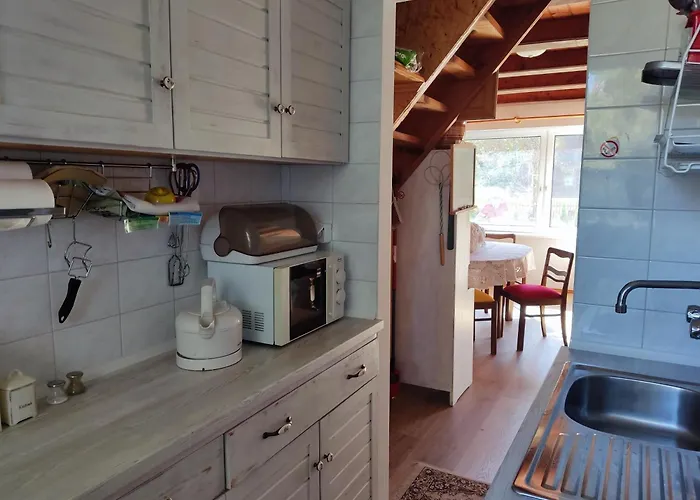 Pod Leszczyna Na Kaszubach Stężyca