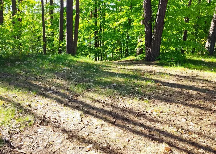 Pod Leszczyna Na Kaszubach Stężyca