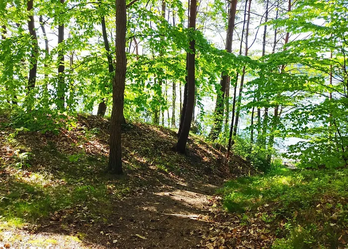 度假居 Pod Leszczyna Na Kaszubach Stężyca