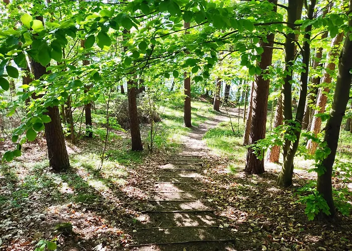 Pod Leszczyna Na Kaszubach *